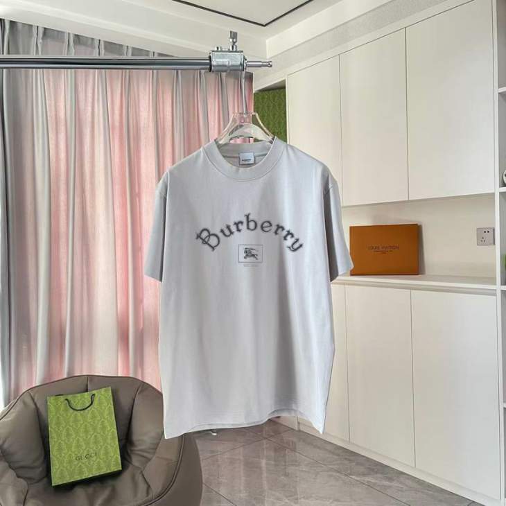 Picture of Burberry T Shirts Short _SKUBurberryS-2XLhgntx5419825